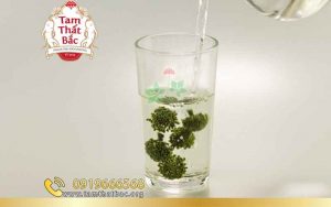 tam thất trị mất ngủ tốt