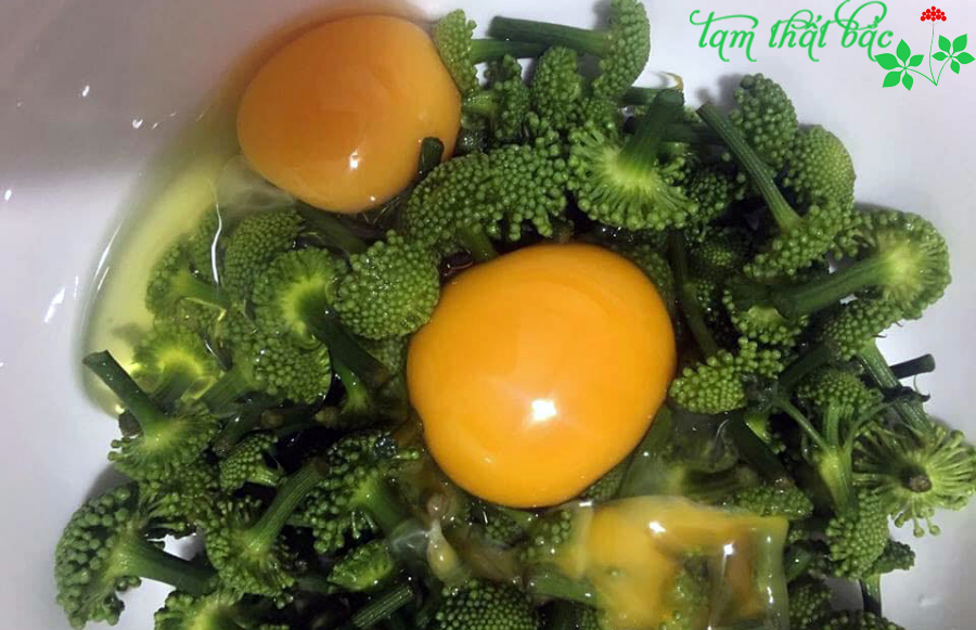 Trứng Xào Tam Thất Tươi Trứng gà xào nụ tam thất1