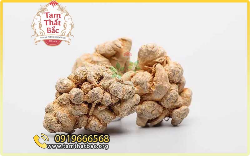 10 bài thuốc tam thất hay bài thuốc tam thất