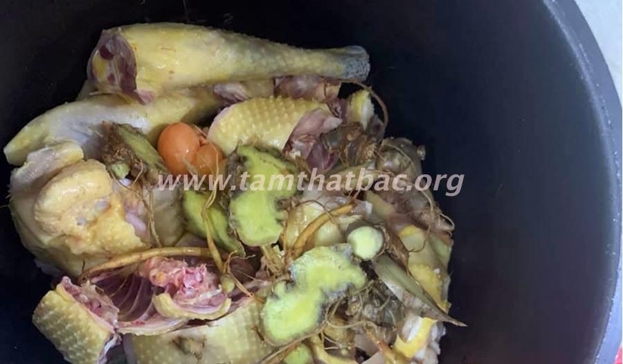 Tác dụng của tam thất kiểm chứng bởi người dùng gà tam thất