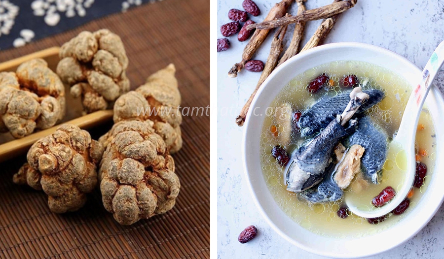 10 + Món ăn từ tam thất ngon và bổ món ăn từ tam thất
