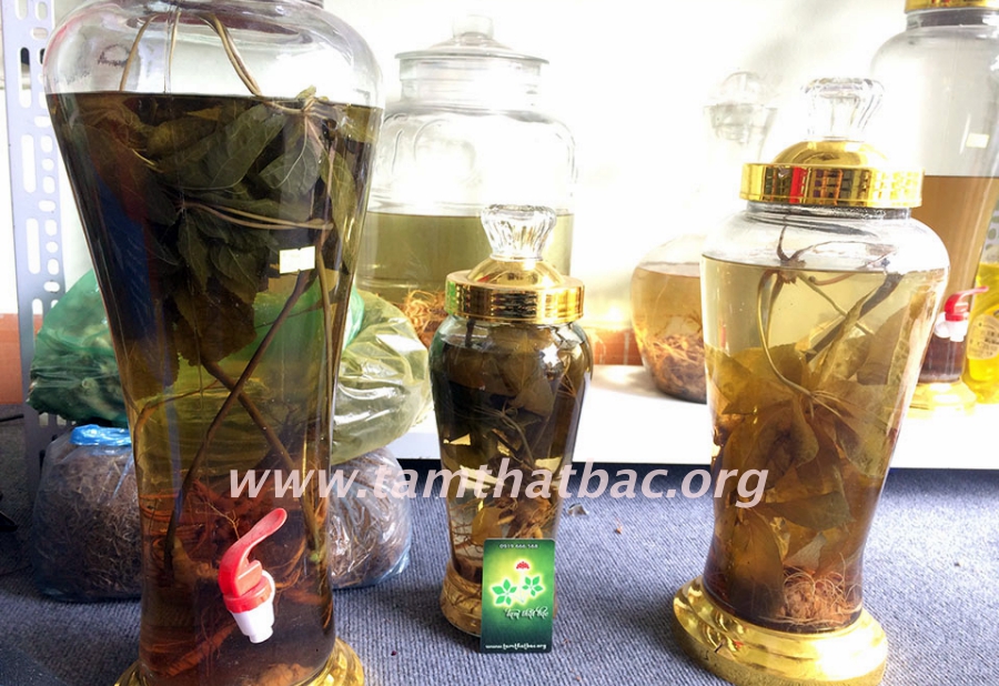 Cách Làm Tam Thất Ngâm Rượu Ngon và Bổ tam thất ngâm rượu