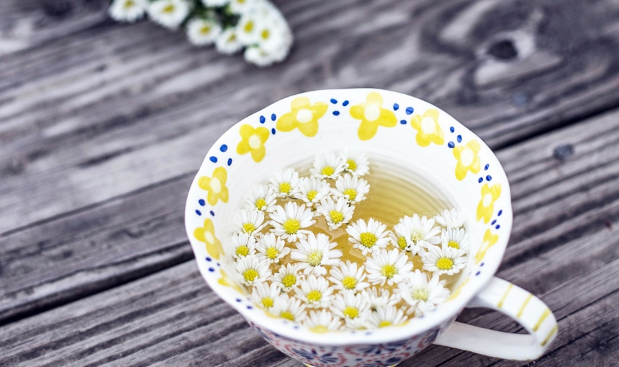 Những lợi ích của trà thảo mộc tra hoa cuc