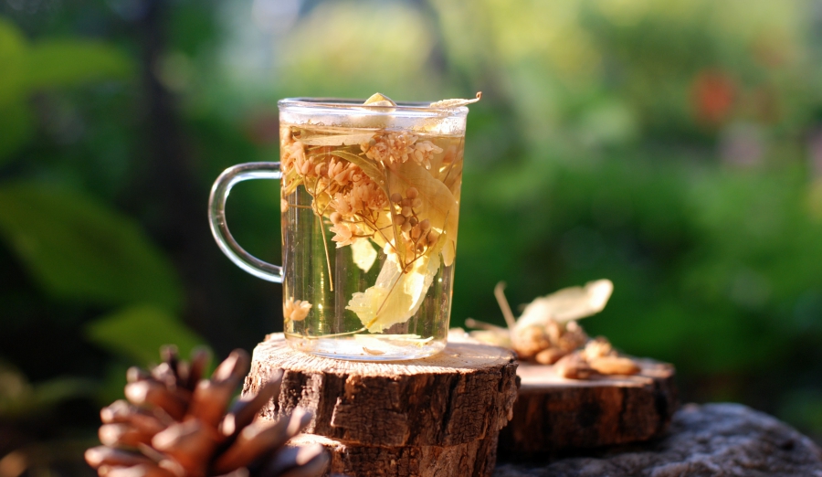 Người cao tuổi nên ăn gì uống gì để có giấc ngủ ngon trà thảo dược giúp người cao tuổi có giấc ngủ ngon