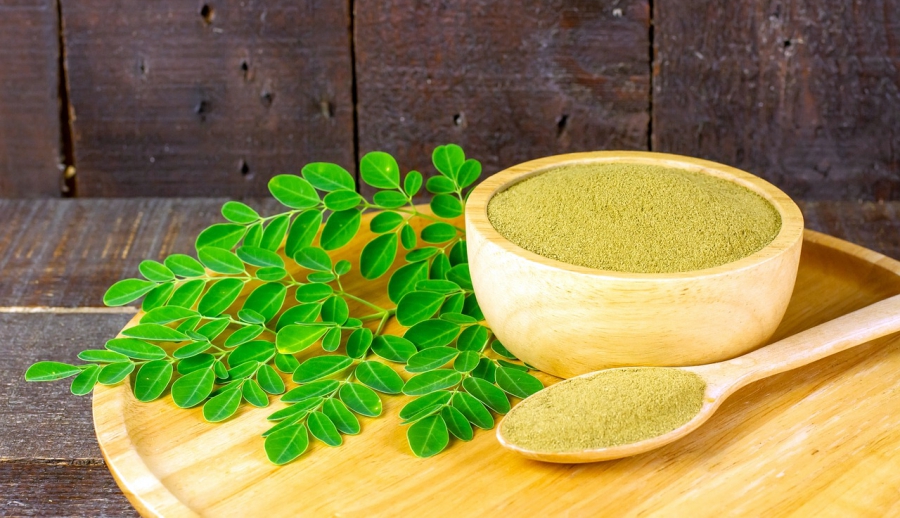 Top 10 loại trà giải nhiệt cho mùa hè trà thanh nhiệt trùm ngây