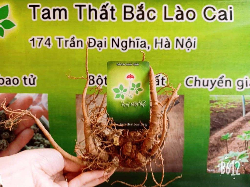 Liên hệ 174 trần đại nghĩa
