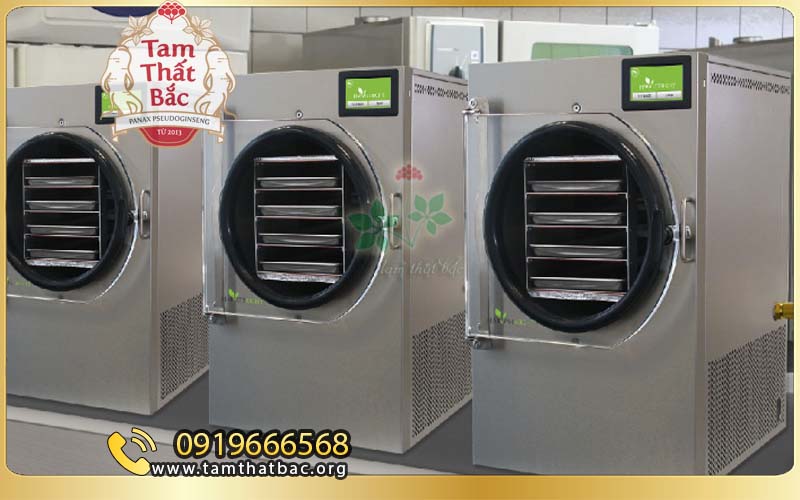 Giới thiệu cửa hàng tam thất bắc Lào Cai công nghệ sấy thăng hoa