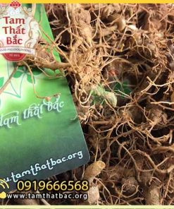 củ mầm tam thất bắc 500x500