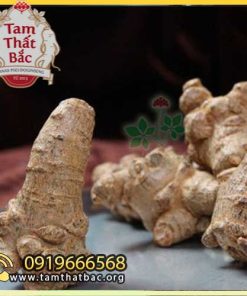củ tam thất vụn 500x500