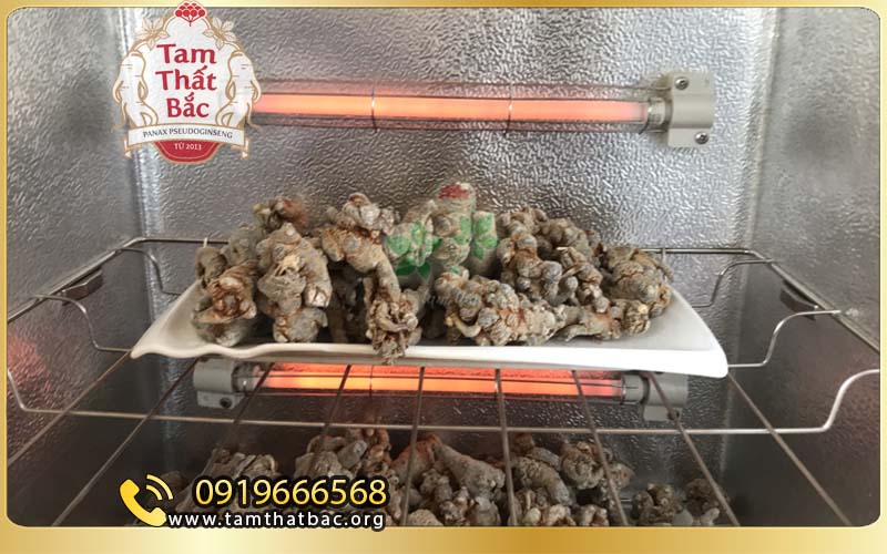 Giới thiệu cửa hàng tam thất bắc Lào Cai máy sấy tại cửa hàng tam thất bắc