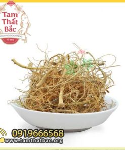 rễ tam thất 500x500