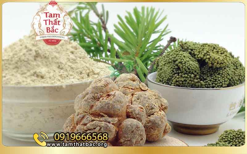 TOP 10 BÀI THUỐC CHỮA ĐAU LƯNG HIỆU QUẢ NHẤT tam thất bắc chữa đau lưng
