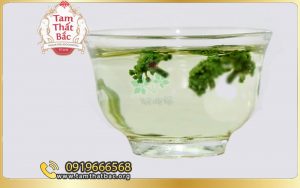 trà hoa tam thất giúp giảm lão hóa với các saponin tự nhiên